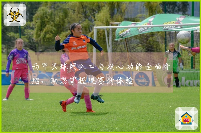 西甲买球网入口与核心功能全面介绍，助您掌握观赛新体验