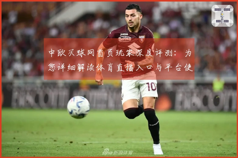 中欧买球网首页玩家深度评测：为您详细解读体育直播入口与平台使用体验
