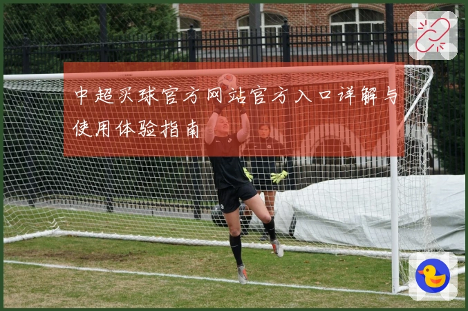 中超买球官方网站官方入口详解与使用体验指南