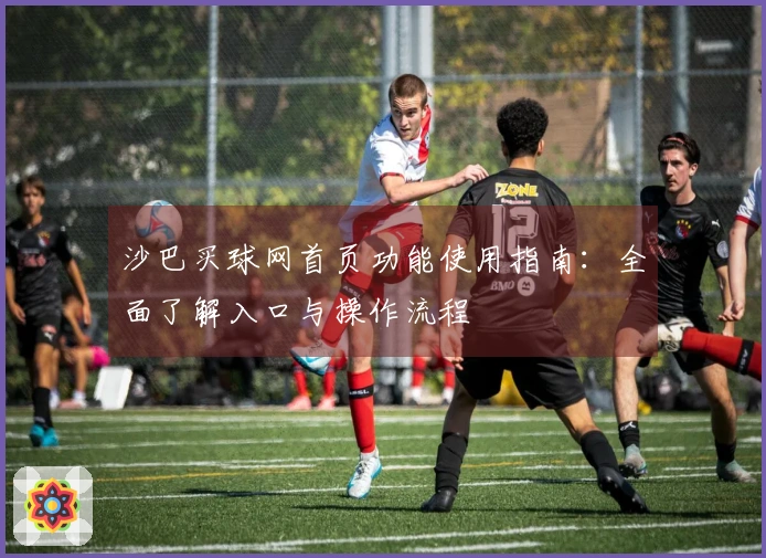 沙巴买球网首页功能使用指南:全面了解入口与操作流程