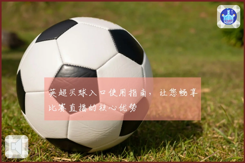 英超买球入口使用指南，让您畅享比赛直播的核心优势
