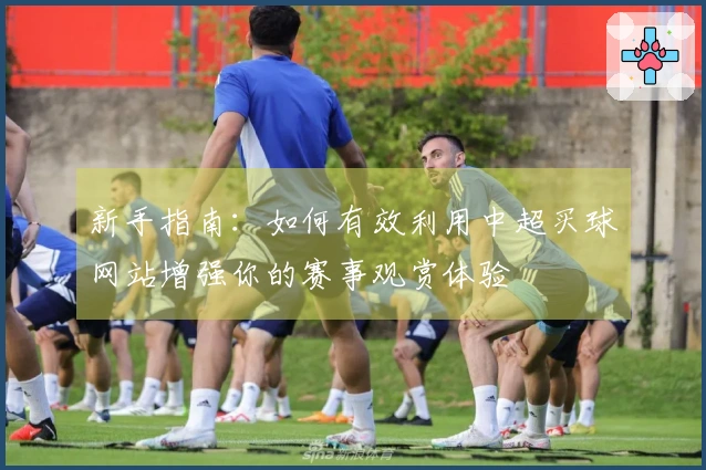 新手指南：如何有效利用中超买球网站增强你的赛事观赏体验