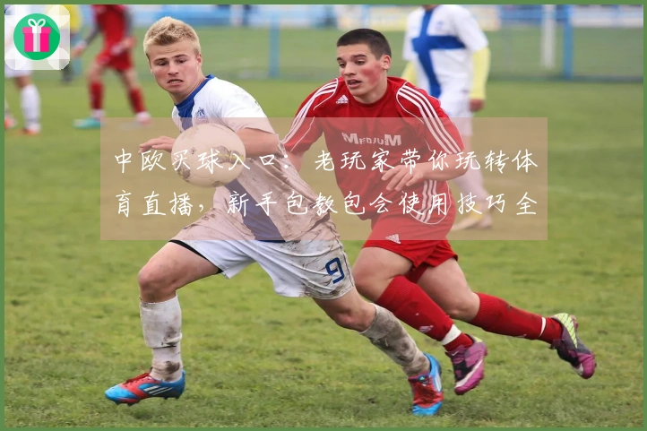 中欧买球入口：老玩家带你玩转体育直播，新手包教包会使用技巧全揭秘